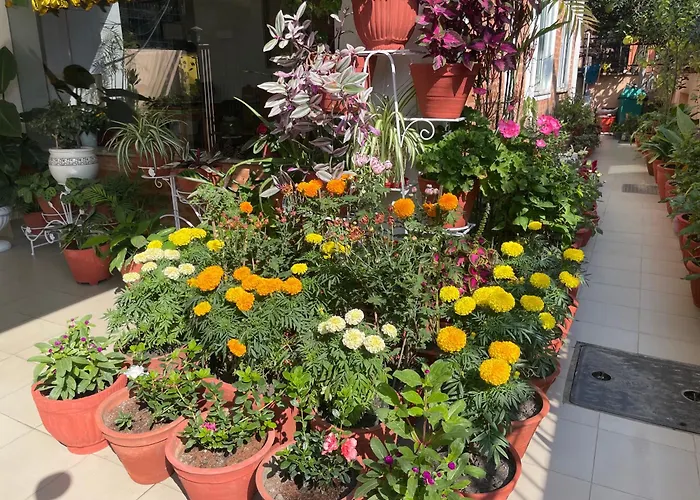Apartment Palmo